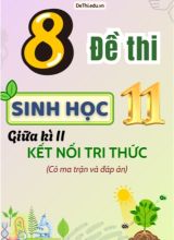 8 Đề thi Sinh Học 11 giữa học kì 2 có Ma trận & Đáp án (Kết nối tri thức)